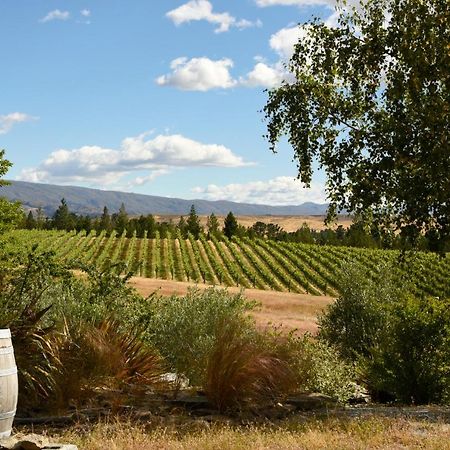 Grey Ridge Vineyard Experience Bed and Breakfast Alexandra Eksteriør billede