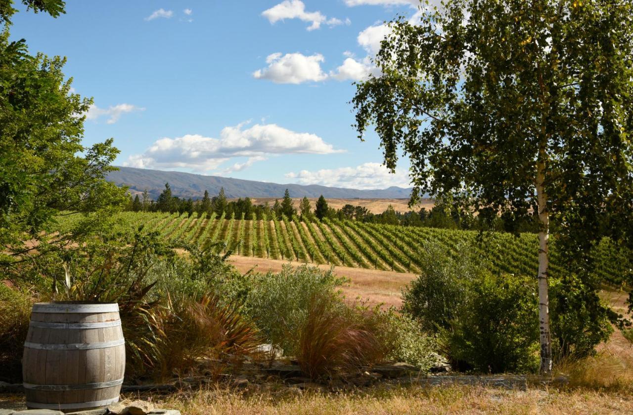 Grey Ridge Vineyard Experience Bed and Breakfast Alexandra Eksteriør billede