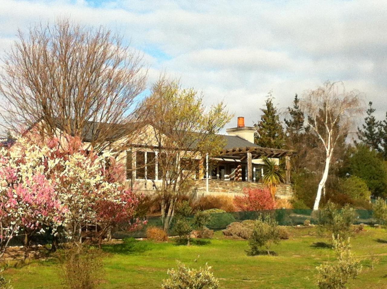 Grey Ridge Vineyard Experience Bed and Breakfast Alexandra Eksteriør billede