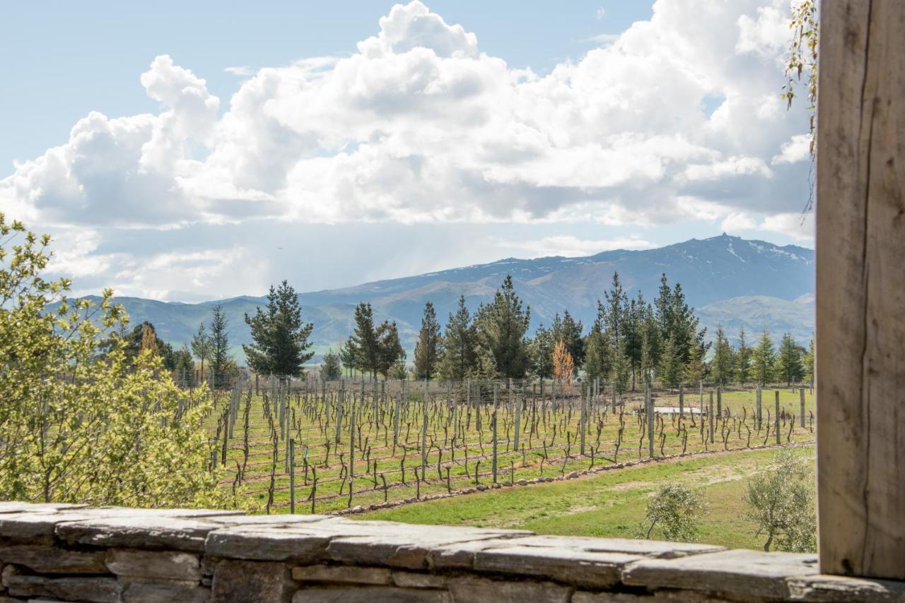 Grey Ridge Vineyard Experience Bed and Breakfast Alexandra Eksteriør billede