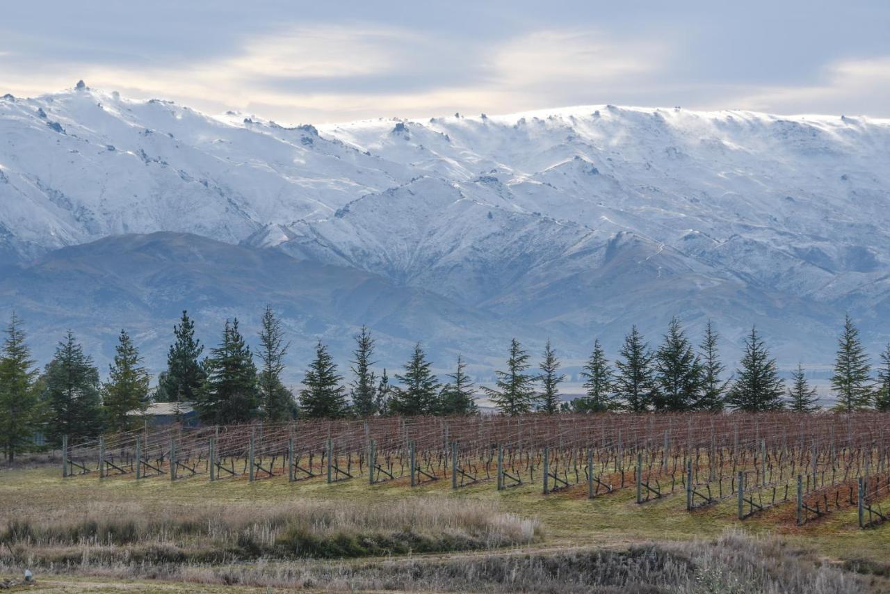 Grey Ridge Vineyard Experience Bed and Breakfast Alexandra Eksteriør billede